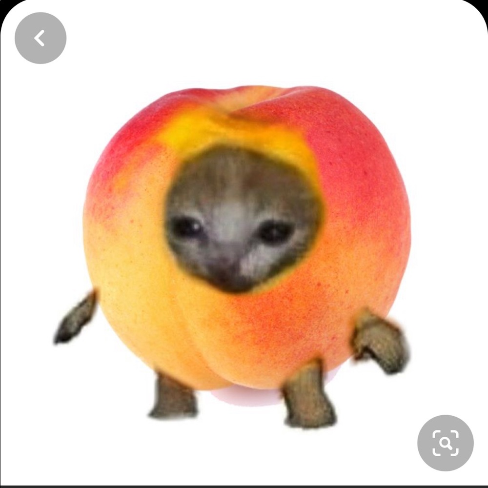 Meet your Posher, Let's